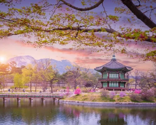 gyeongbokgung-palace-with-cherry-blossom-tree-spring-time-seoul-city-korea-south-korea_174052-438